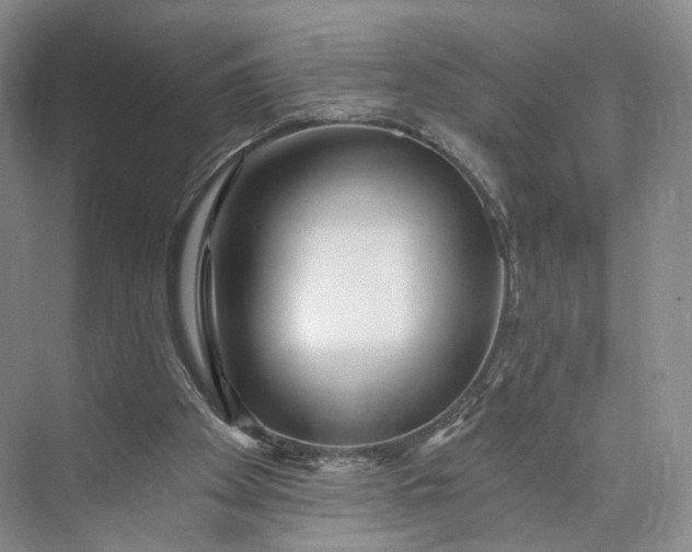 X0000073500105200608140918