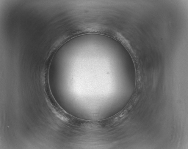 X0000073500106200608140918