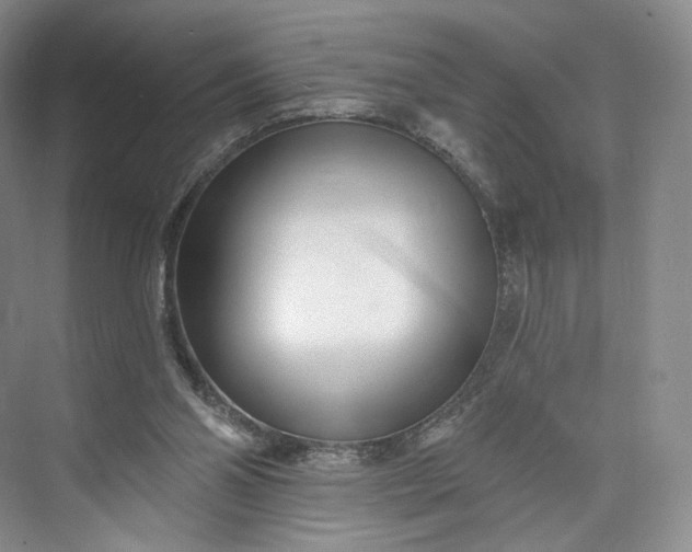 X0000073500110200608140918