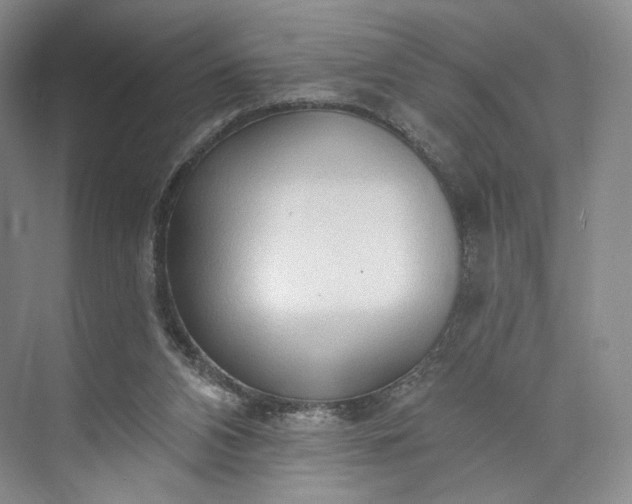 X0000073500112200608140918