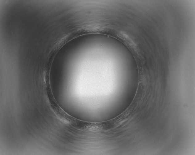 X0000073500115200608140918