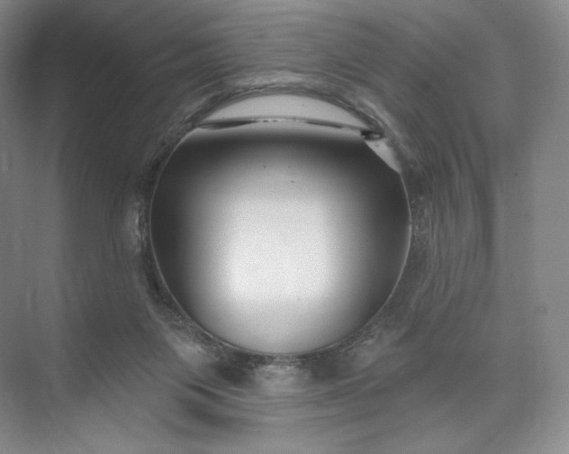X0000073500119200608140918