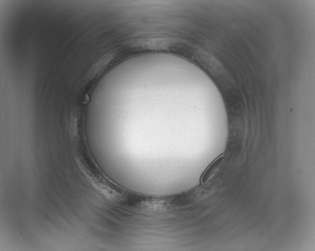 X0000073500120200608140918
