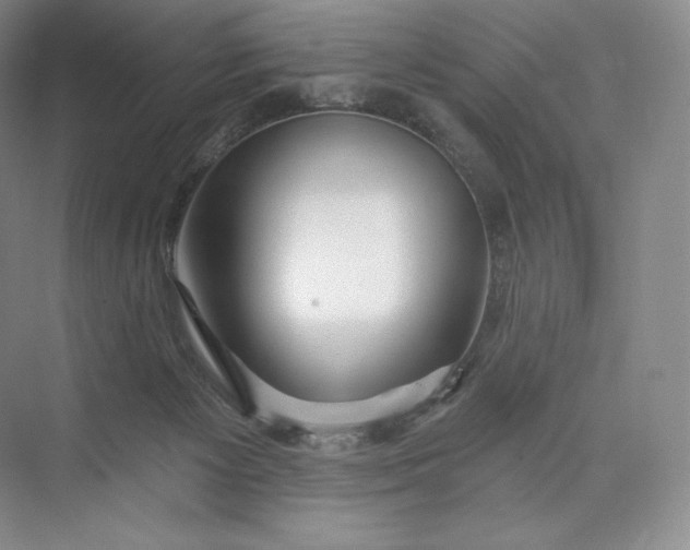 X0000073500125200608140918