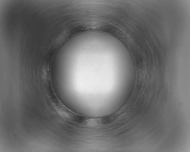 X0000073500126200608140918