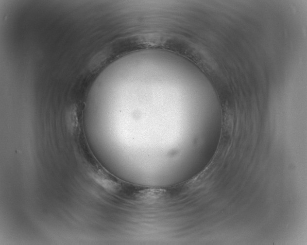 X0000073500128200608140918