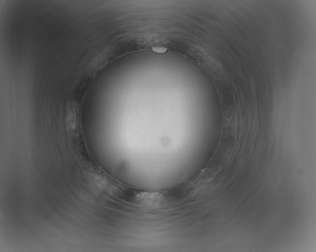 X0000073500133200608140918