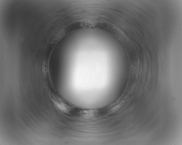 X0000073500134200608140918