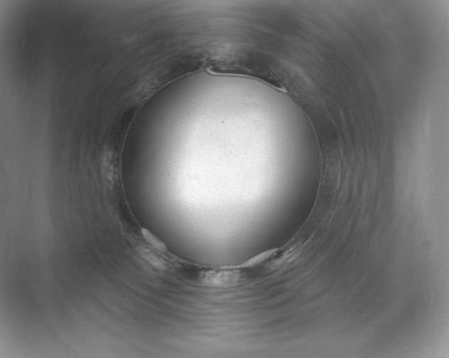 X0000073500135200608140918