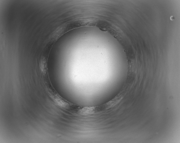X0000073500138200608140918