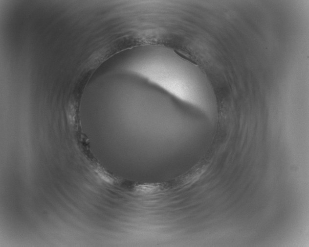 X0000073500139200608140918