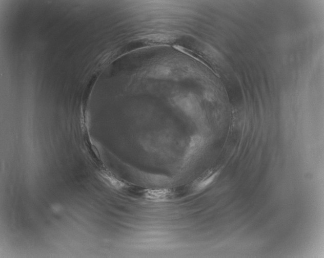 X0000073500143200608140918