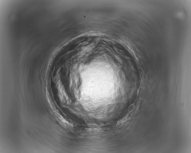 X0000073500145200608140917