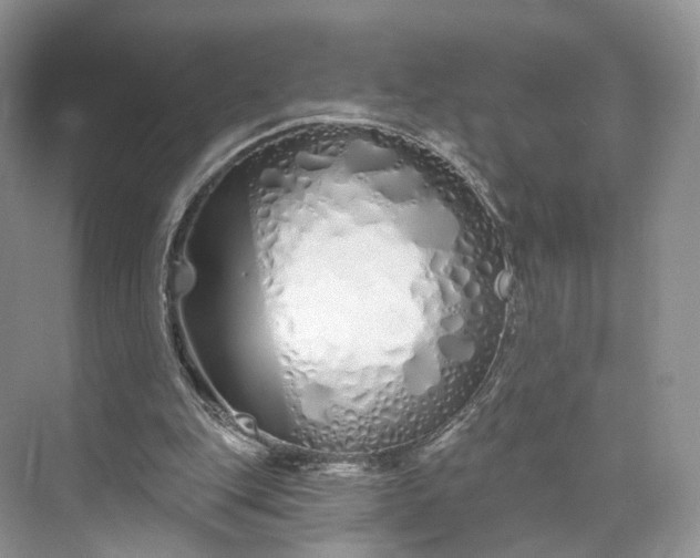 X0000073500151200608140917