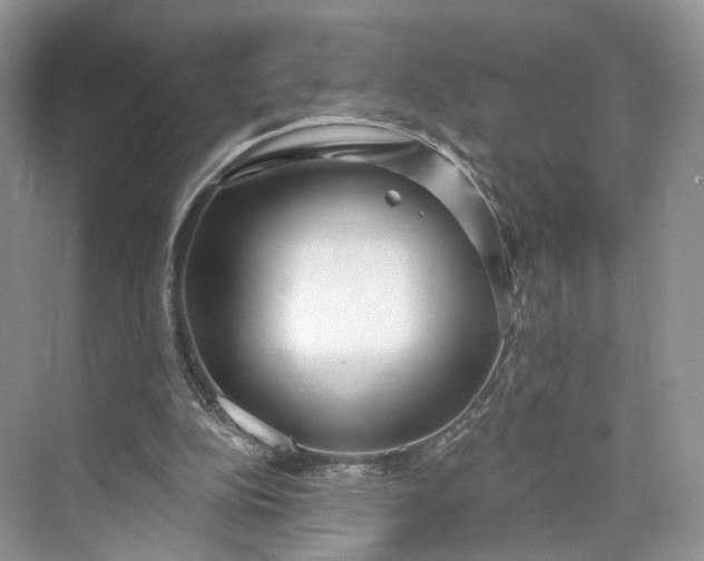 X0000073500152200608140917