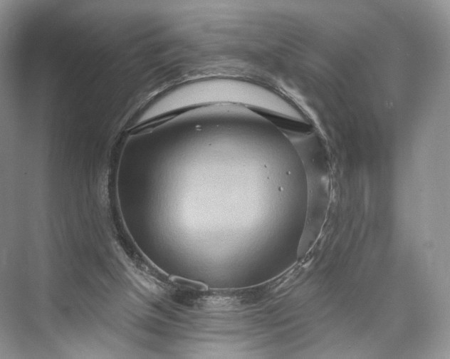 X0000073500154200608140917