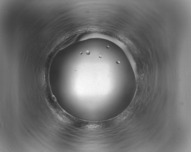 X0000073500158200608140917