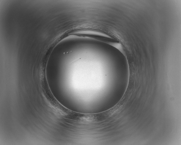 X0000073500164200608140917