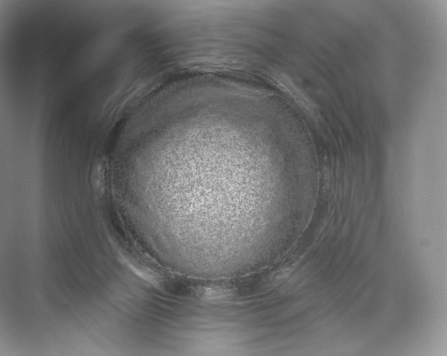 X0000073500165200608140917