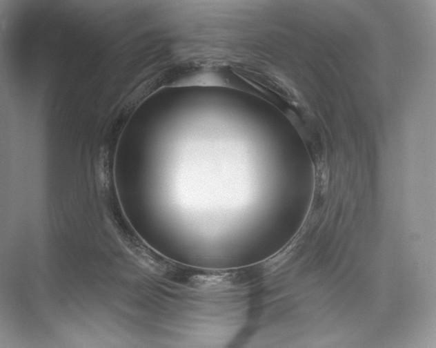 X0000073500170200608140917