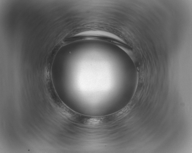 X0000073500176200608140917