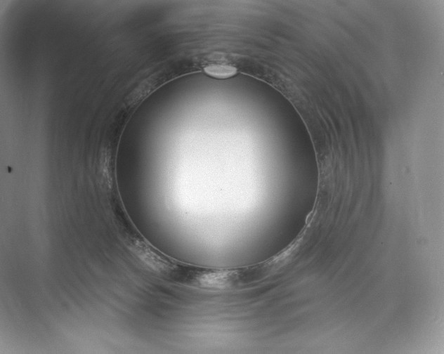 X0000073500178200608140917