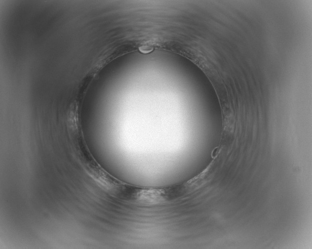 X0000073500179200608140918