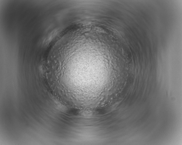 X0000073500181200608140918