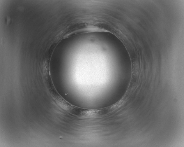 X0000073500184200608140918