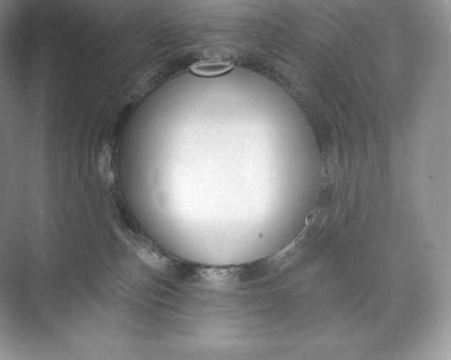 X0000073500187200608140918