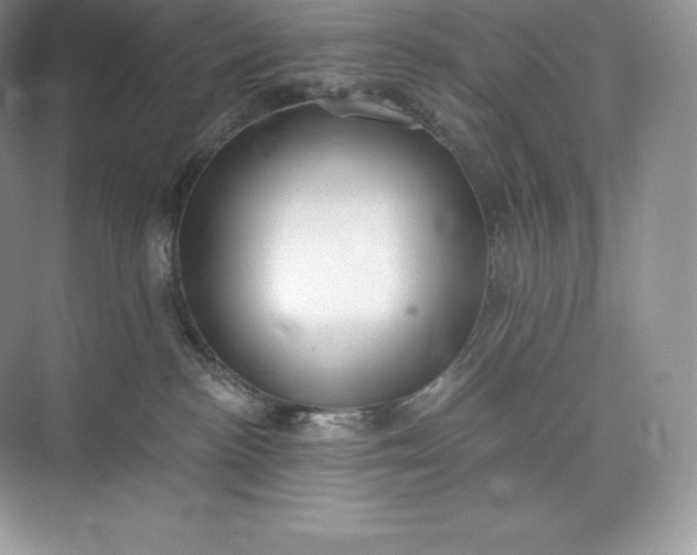 X0000073500188200608140918