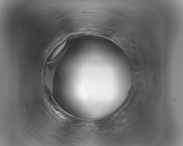 X0000073500194200608140917