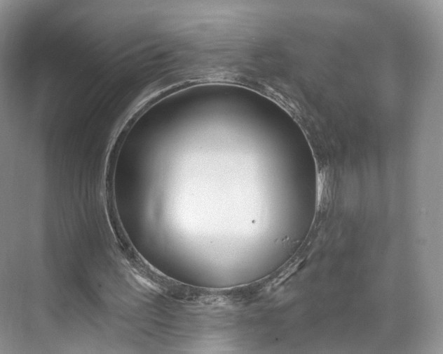 X0000073500195200608140917