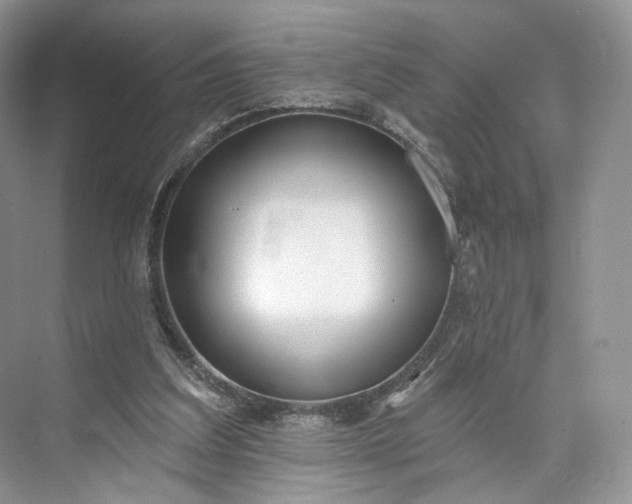 X0000073500203200608140917