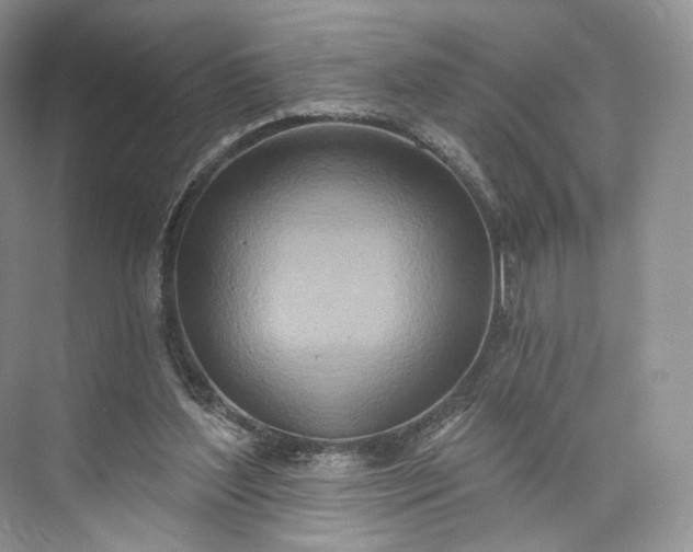 X0000073500204200608140917