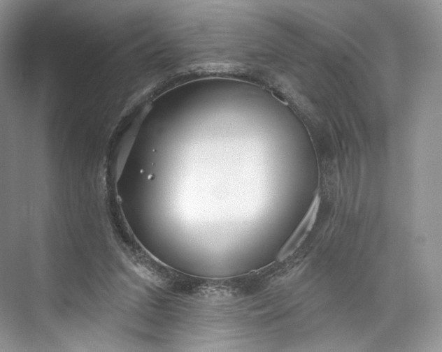 X0000073500207200608140917