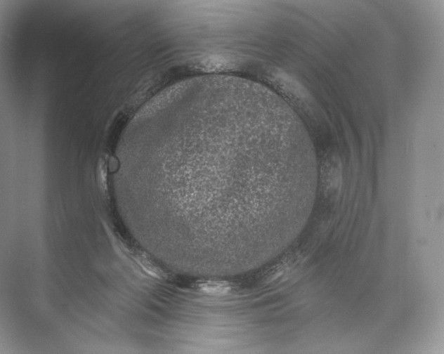 X0000073500214200608140917