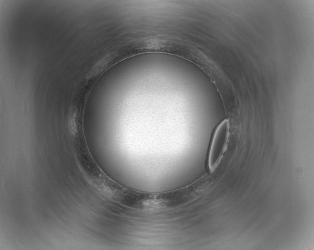X0000073500216200608140917