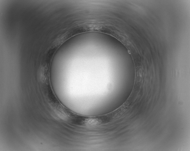 X0000073500218200608140916