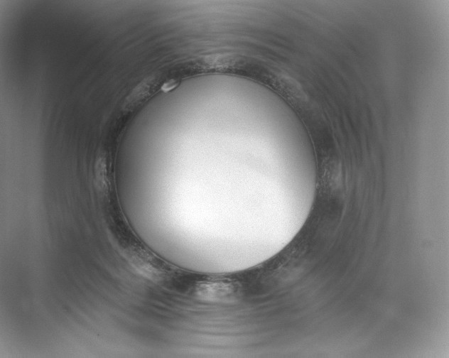 X0000073500220200608140916