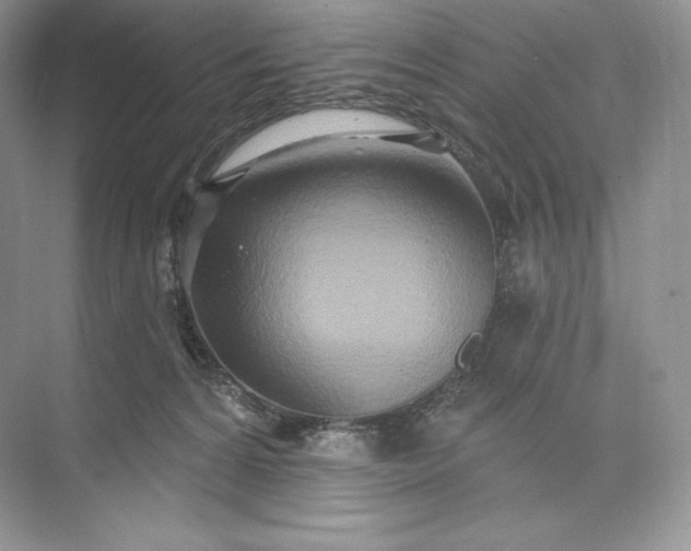 X0000073500224200608140916