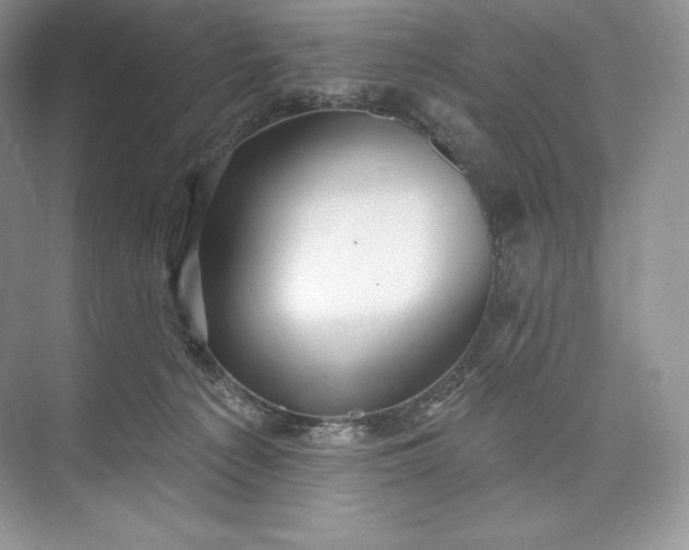 X0000073500225200608140916
