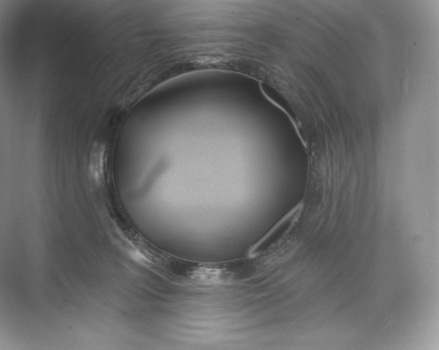 X0000073500227200608140916