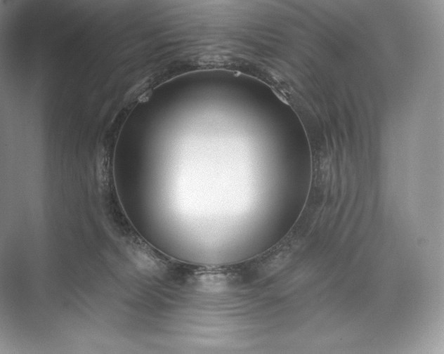 X0000073500228200608140916