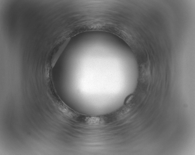 X0000073500230200608140916