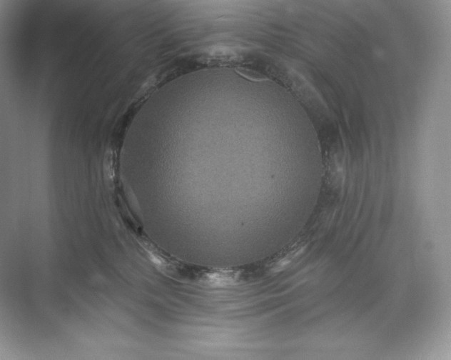 X0000073500232200608140916