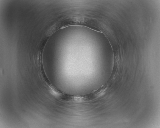 X0000073500233200608140916