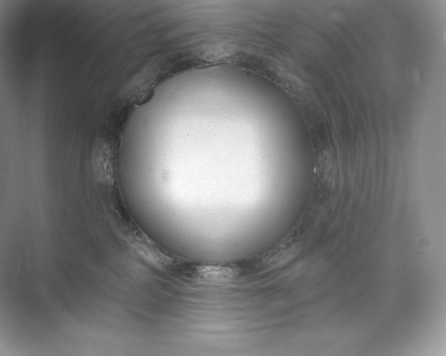 X0000073500234200608140916