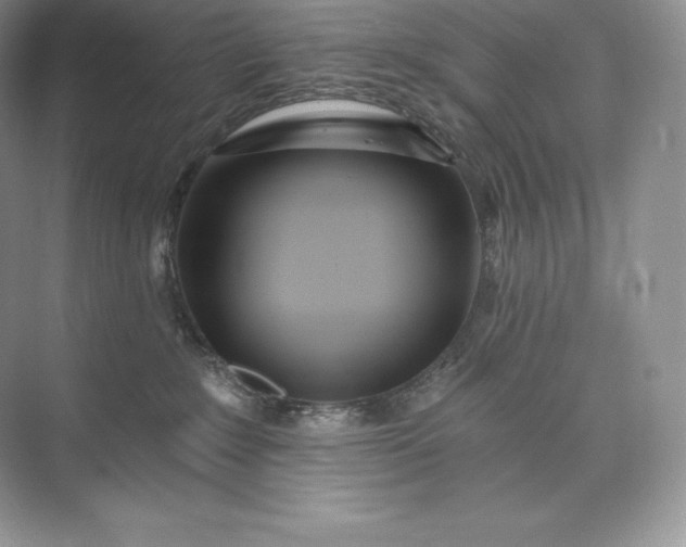 X0000073500235200608140916