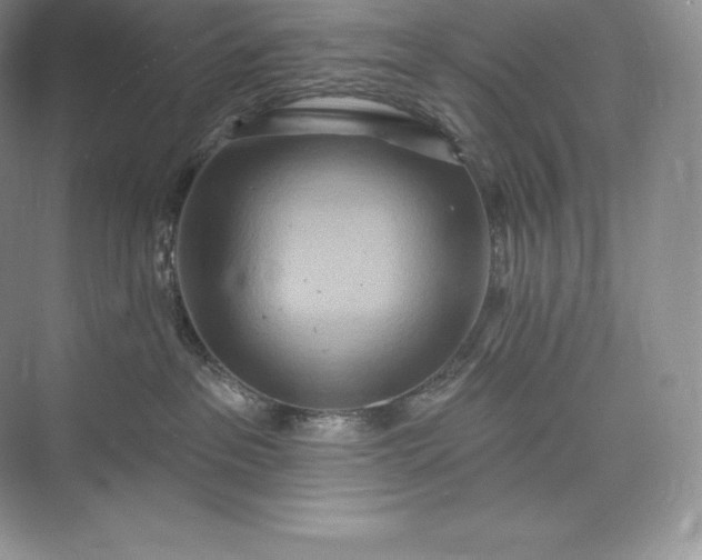 X0000073500237200608140916